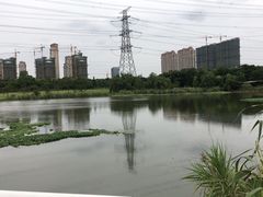-九里河湿地公园