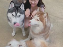 -TrueLove @ Neverland (Husky Cafe)