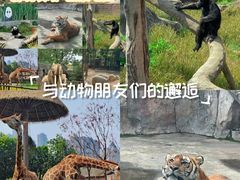-南昌动物园