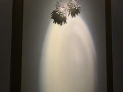 -Dragonfly悠庭·按摩Spa(静安嘉里中心店)