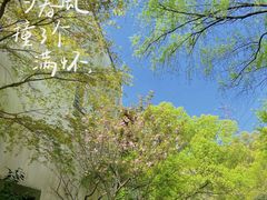-西湖风景区-江洋畈生态公园