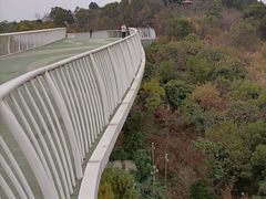 -飞凤山奥体公园