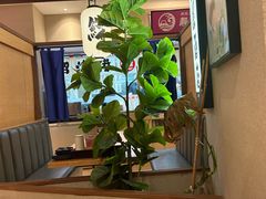 -沼津港精致料理·寿喜烧·烧鸟(漕河泾印象城店)