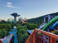 -苏州乐园森林水世界