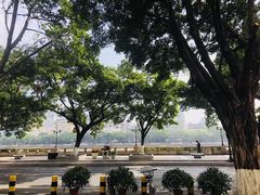-东江海鲜酒家(艺都分店)