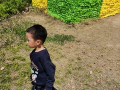 -苏州太湖国家湿地公园