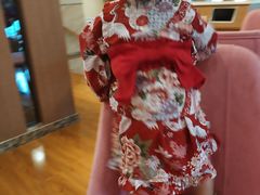 -重庆南山海昌汤都