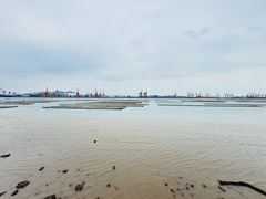 -万尾农贸市场