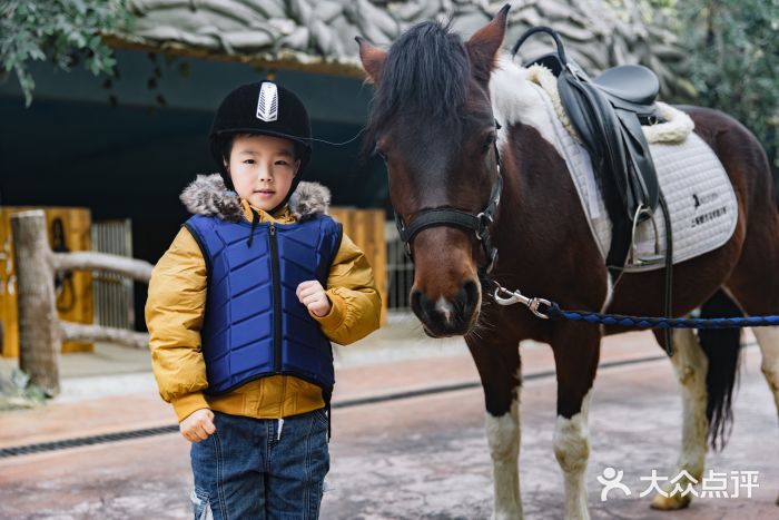 宝燕乐园(闵行旗舰店)图片
