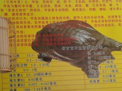 -大圣甲(汉口店)