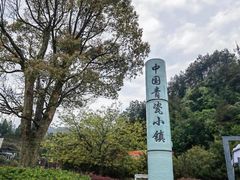 -龙泉青瓷博物馆