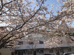 -永乐路-路侧停车场