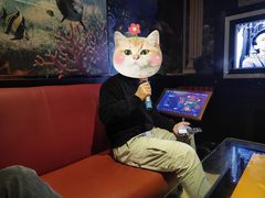 -星派对量贩式KTV(明珠店)