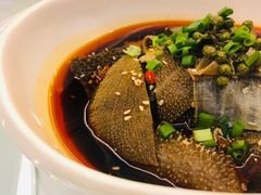 酸辣毛肚-解家河南菜(北环路店)