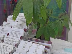 -雅悦齿科(顾村公园店)