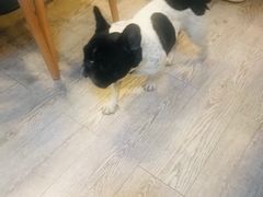 -小时光咖啡馆(北锣鼓巷店)