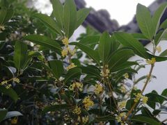-无锡梅园公园