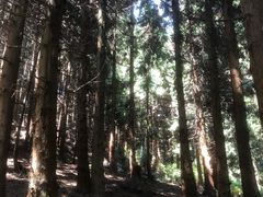 -山王坪喀斯特国家生态公园