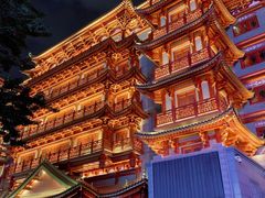 -大佛寺高级素食自助餐厅