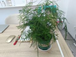 -痘院长·祛痘·科技美肤