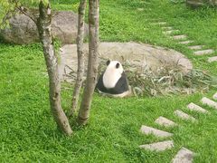 -神农架景区