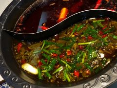 鸳鸯锅-陇菜和盛祥(金轮宾馆店)