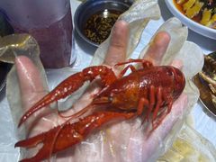 -石牌岭小亮蒸虾•湖北老字号(左岭店)