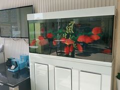 -中科领军口腔