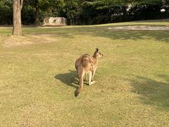 -上海野生动物园