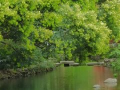 -成都市活水公园