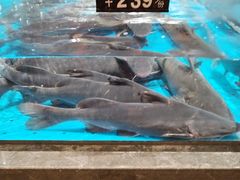 -艳阳天·非遗楚菜(武汉客厅店)