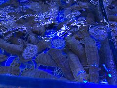 -渔民船说·北塘海鲜·天津菜·海肠捞饭(北塘古镇店)