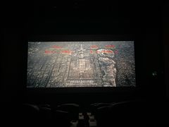 -万达影城(潍坊万达广场IMAX店)