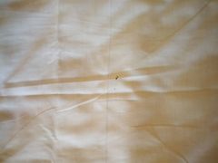 -汕头金乐大酒店