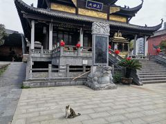-长春观