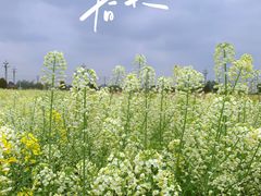 -中国天府农业博览园