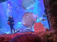 -沈阳海洋探索中心