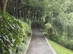 -美兰湖景区