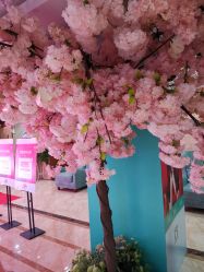 -重庆军美医疗美容医院