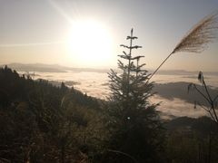 -紫鹊界梯田景区