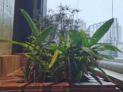 -园里火锅(仁和新城店)