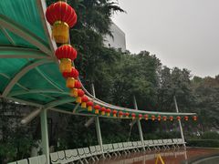 -常州古运河南大街文化旅游区-人民公园