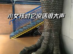 -国家自然博物馆