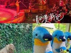 -上海野生动物园