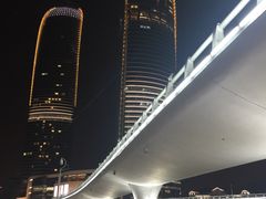 -演武大桥观景平台