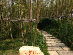 竹林-青岛国学公园