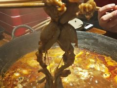 -老天桥蛙炉火锅(姑苏总店)