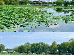 -长春市南湖公园