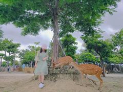 -鹿境梅花鹿生态园区