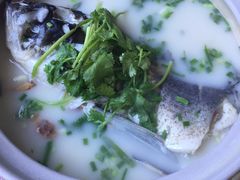-天乐农家鱼头王(天目湖店)